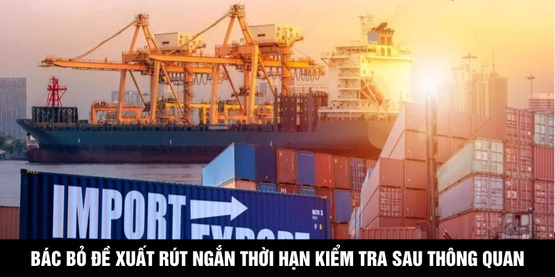 Bác Bỏ Đề Xuất Rút Ngắn Thời Hạn Kiểm Tra Sau Thông Quan