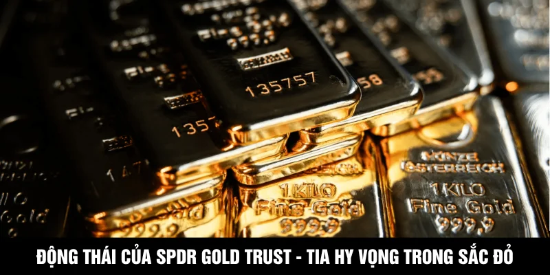 Động thái của SPDR Gold Trust - Tia hy vọng trong sắc đỏ