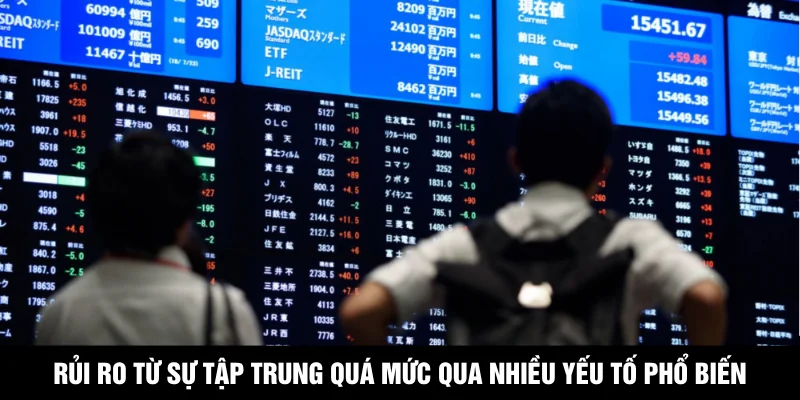 Rủi ro tiềm ẩn từ sự tập trung quá mức qua nhiều yếu tố phổ biến